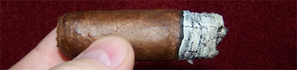 Flor de Cesar Red Label - 6